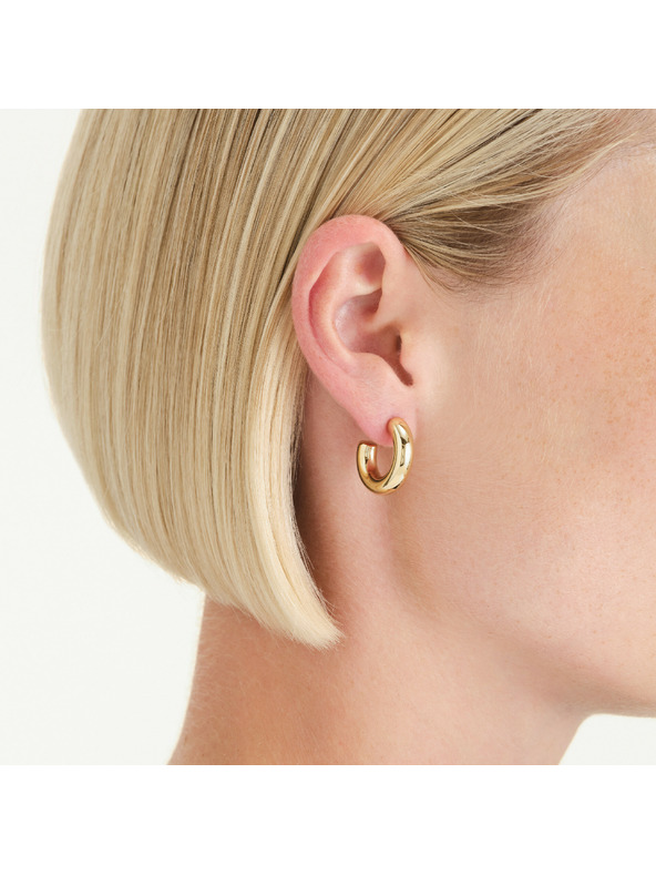 Rosefield Pozlátené dámske náušnice Rosefield JESHG-J931