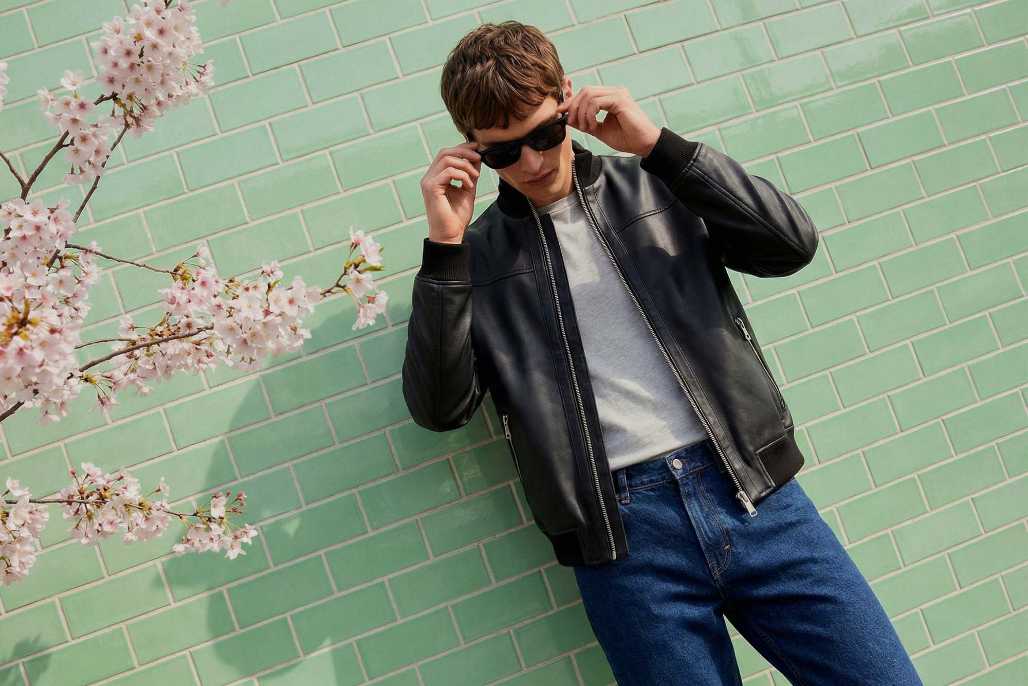 Lifestyle collection widget