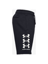 Under Armour Pánske kraťasy Under Armour Rival Flc Multilogo Short
