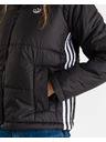 adidas Originals Bunda
