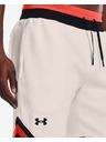 Under Armour Pánske kraťasy Under Armour RIVAL FLEECE AMP SHORT