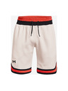 Under Armour Pánske kraťasy Under Armour RIVAL FLEECE AMP SHORT