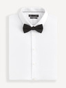 Celio Bibow2 Motýlik