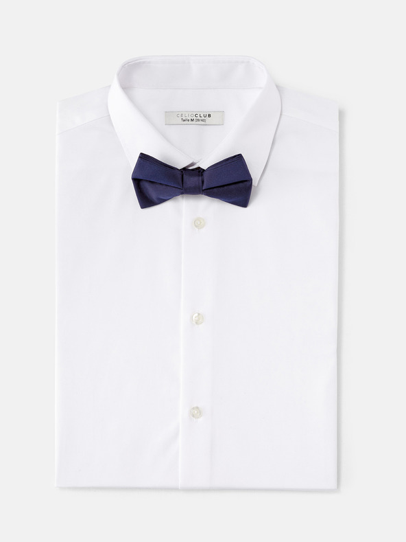 Celio Bibow2 Motýlik