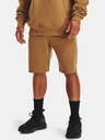 Under Armour Pánske kraťasy Under Armour UA ORIGINATORS SHORT