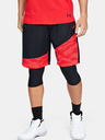 Under Armour Pánske kraťasy Under Armour Baseline 10IN Short