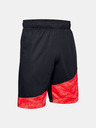 Under Armour Pánske kraťasy Under Armour Baseline 10IN Short