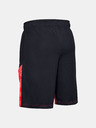 Under Armour Pánske kraťasy Under Armour Baseline 10IN Short