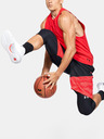 Under Armour Pánske kraťasy Under Armour Baseline 10IN Short