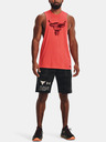 Under Armour Pánske kraťasy Under Armour UA Pjt Rk Q2 Hvywt Terry Sts