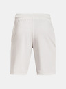 Under Armour Pánske kraťasy Under Armour RIVAL TERRY CLLGT SHORT
