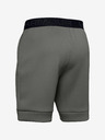 Under Armour Pánske kraťasy Under Armour Move Shorts