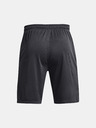 Under Armour Pánske kraťasy Under Armour UA Tech Mesh Shorts