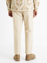 Celio Donathan Nohavice