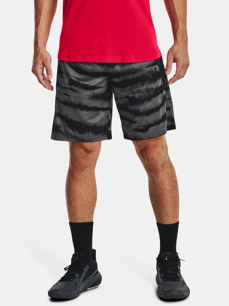 Under Armour Pánske kraťasy Under Armour UA BASELINE 10'' PRINT SHORT
