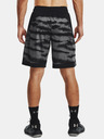 Under Armour Pánske kraťasy Under Armour UA BASELINE 10'' PRINT SHORT