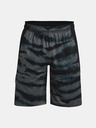 Under Armour Pánske kraťasy Under Armour UA BASELINE 10'' PRINT SHORT