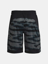 Under Armour Pánske kraťasy Under Armour UA BASELINE 10'' PRINT SHORT