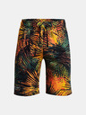 Under Armour Pánske kraťasy Under Armour UA Rival Flc Sport Palm Sts