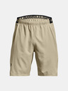 Under Armour Pánske kraťasy Under Armour UA Vanish Woven 8in Shorts