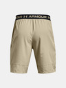 Under Armour Pánske kraťasy Under Armour UA Vanish Woven 8in Shorts