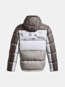 Under Armour Pánska bunda Under Armour CGI Down Storm Blocked Storm Jkt