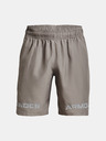 Under Armour Pánske kraťasy Under Armour UA Woven Graphic WM Short