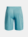 Under Armour Pánske kraťasy Under Armour UA Tech Mesh Shorts