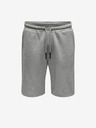 ONLY & SONS Ceres Kraťasy
