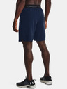 Under Armour Pánske kraťasy Under Armour UA Vanish Woven 8in Shorts