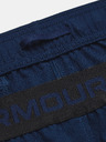 Under Armour Pánske kraťasy Under Armour UA Vanish Woven 6in Shorts