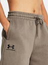 Under Armour Dámske kraťasy Under Armour UA Essl Flc Relax BF Short