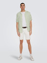 ONLY & SONS Bielo-zelené pánske pruhované tričko s krátkym rukávom ONLY & SONS Wayne