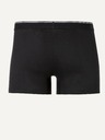 Celio Mike Boxerky