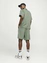 Jack & Jones Zelená pánska košeľa s krátkym rukávom Jack & Jones Aaron