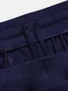 Under Armour Pánske športové nohavice Under Armour UA UNSTOPPABLE CARGO PANTS