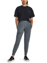 Under Armour Dámske teplaky Under Armour Meridian Jogger