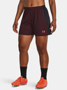 Under Armour Dámske kraťasy Under Armour UA W's Ch. Knit Short