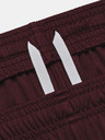 Under Armour Dámske kraťasy Under Armour UA W's Ch. Knit Short