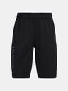 Under Armour Chlapčenské kraťasy Under Armour Prototype 2.0 Wdmk Shorts