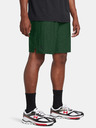Under Armour Pánske kraťasy Under Armour UA Tech Vent Short