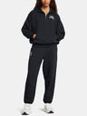 Under Armour Dámska mikina Under Armour UA Icon HWT Terry OS HZ