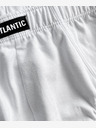 Atlantic Pánske slipy ATLANTIC Sport 2Pack