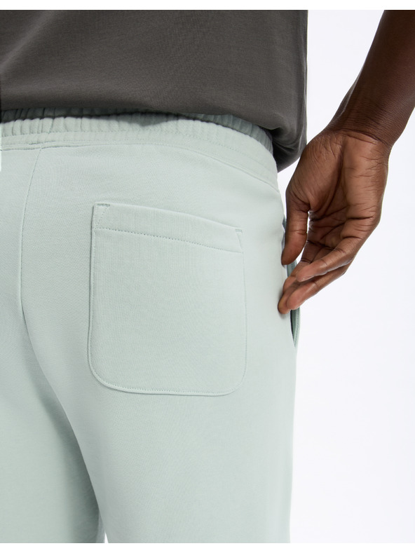 Celio Kraťasy Loshort2