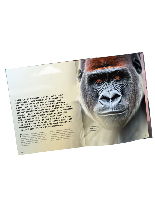 ELLA & MAX Veľký obrázkový sprievodca ZVIERATÁ