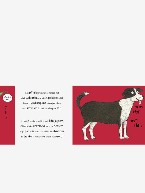 ELLA & MAX Roztopašné Play-Doh so zvieratkami