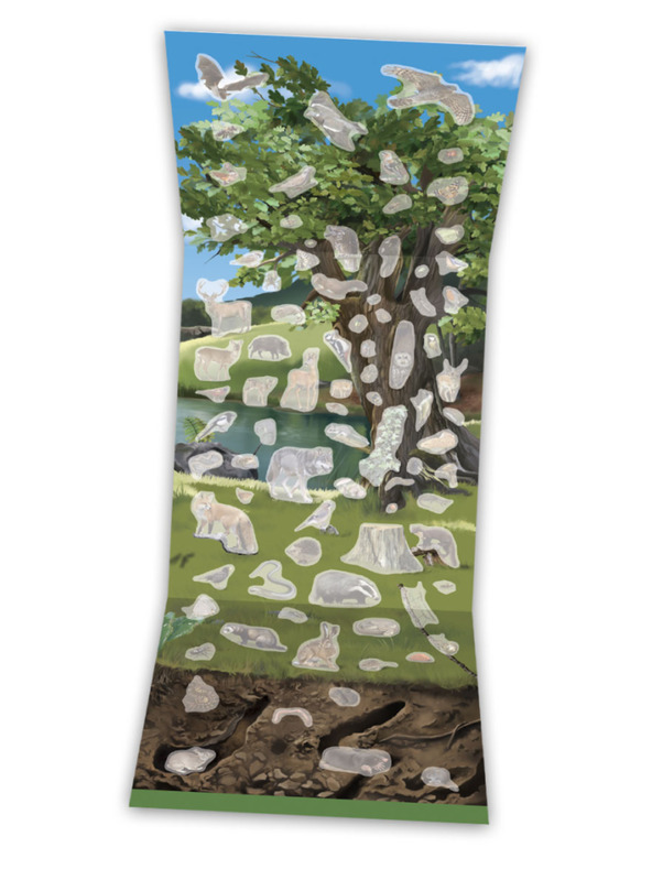 ELLA & MAX SVET STROMOV, HMYZU A ZVIERAT NAŠICH LÚK A LESOV - Kniha s plagátom a samolepkami