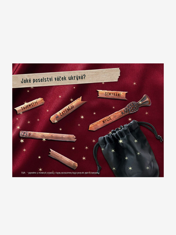 ELLA & MAX ÚNIKOVÁ KNIHA - ZÁHADA ČIERNEJ VILY