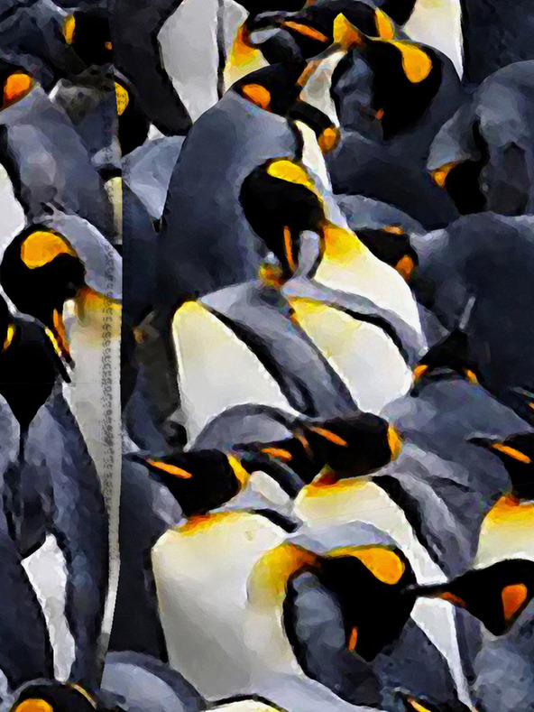 Horsefeathers Boxerky Sidney Horsefeathers