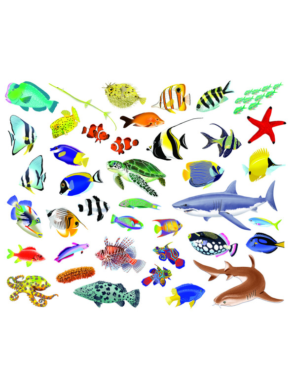 BAAGL  Čítaj a nalepuj – POD HLADINOU, kniha so samolepkami